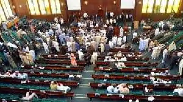House Of Reps Gives Conditions For Approval Of N9trn Loan